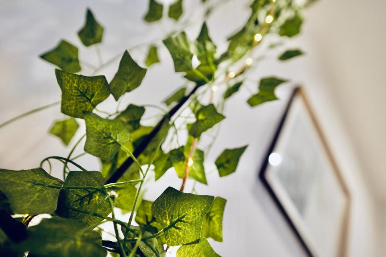 New ! Superbe Studio Vieux Nice - Climatise Bagian luar foto